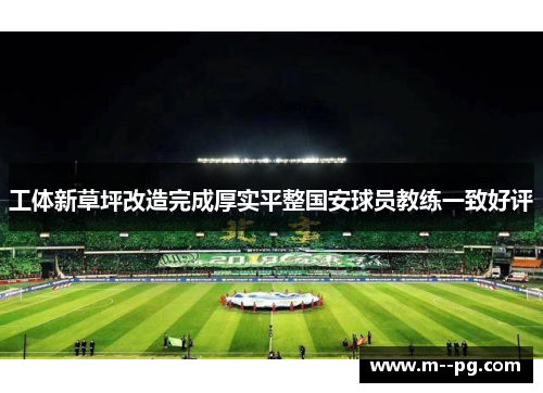 工体新草坪改造完成厚实平整国安球员教练一致好评