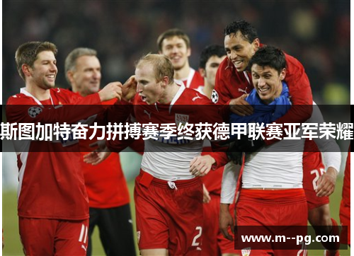 斯图加特奋力拼搏赛季终获德甲联赛亚军荣耀