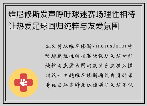 维尼修斯发声呼吁球迷赛场理性相待让热爱足球回归纯粹与友爱氛围